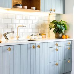 a kitchen with blue cabinets and white countertops has a potted plant next to the sink