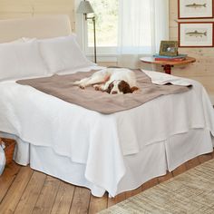 a dog laying on top of a bed in a room with wooden floors and walls