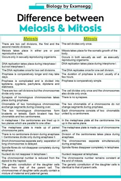 difference between Mitosis and Meiosis Mitosis Vs Meiosis Notes, Meiosis Vs Mitosis, Biology Mitosis Meiosis Notes, Biology Notes Mitosis, Mitosis And Meiosis Notes, Neet Biology Notes, Biology Meiosis, Meiosis Notes, Biology Help