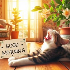 a cat yawns while laying on the floor next to a sign that says good morning