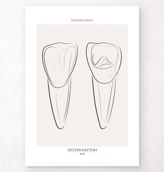 Line art is a contemporary, versatile collection that fits in any interior and also goes well with any other art, medical or not. We use fine lines and subtle colors to create a chic minimalist representation of organs and body systems. Dent Logo, Tooth Anatomy, Line Art Poster, Minimal Line Art, Medical Gifts, Dental Student, Dental Lab