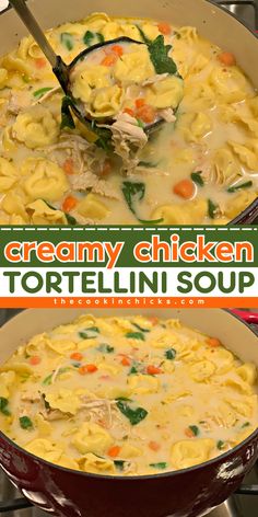 Looking for a comfort food recipe this season? Try this Creamy Chicken Tortellini Soup! It's packed with shredded chicken, tender vegetables, and cheese tortellini in a creamy broth. This dish is a hearty dinner recipe that is perfect for cozy winter nights. Make sure to have this easy winter recipe on your must-have to do. Everyone will love this! Slow Cooker Chicken Tortellini Soup, Creamy Chicken Tortellini Soup, Creamy Chicken Tortellini, Easy Winter Recipes, The Cookin Chicks, Favorite Dinner Recipes, Chicken Tortellini Soup, Delicious Chicken Dinners, Chicke Recipes