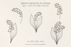 the birth month flower may lily of the valley is shown in black and white, along with other flowers