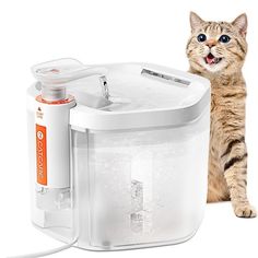 a cat standing next to a water dispenser on a white background,