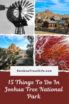 the joshua tree national park with text overlay that reads 15 things to do in joshua tree national park