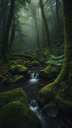 a stream running through a forest filled with green moss covered rocks and trees in the background