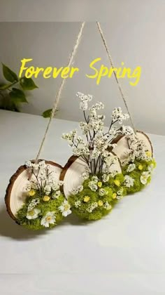 flowers are hanging from the side of a wooden slice with moss and daisies on it