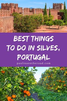 an orange grove with the words best things to do in silver, portugal