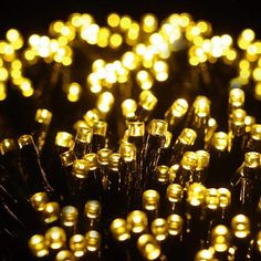 PRICES MAY VARY. 🎄[ 1000 LEDs CHRISTMAS CLUSTER LIGHTS ] Quntis 82ft warm white-yellow LED Christmas tree lights is perfect for spice up your home decoration and add welcome feelings to your party or home. They illuminate a dark corner and create a romantic sentiment. PLS KINDLY NOTE: this LED string lights could not be extended or connected together. 🎄[ SAFE USE & COST EFFECTIVE ] This dark green wire Christmas strings made of 100% copper wire, it will not overheat after long-time of usage. Short-circuit protection design would keep your home and family safe. Especially when you have little children in your home, the plug in led Christmas lights with 24V Output Voltage would be your preference. 🎄[ 8 FLASH MODES & MEMORY FUNCTION ] This indoor christmas lights with 8 different light pat Trending Lighting, Cluster Christmas Lights, Holiday Lights Outdoor, Starry String Lights, Indoor Christmas Lights, Led Christmas Tree Lights, Patio Wedding, Cluster Lights, Led Christmas Tree