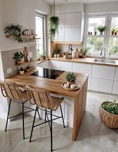 a kitchen filled with lots of counter top space and plants on the shelves above it