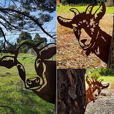 three pictures of animals that are on the side of a tree and in front of a fence