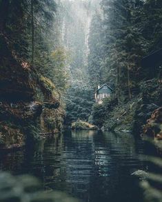 a small cabin in the middle of a forest with water and trees on both sides