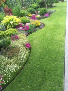 a garden filled with lots of different types of flowers