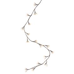 a branch with white lights hanging from it