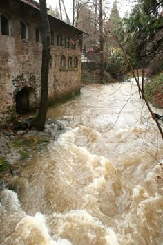 a river running through a forest next to a stone building with windows on the side