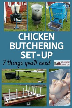 chicken butchering set - up 7 things you'll need