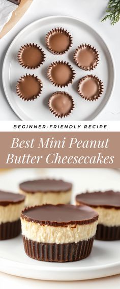 Image for Best Mini Peanut Butter Cheesecakes Peanut Butter Birthday Party, Dessert Night, Do It For Me, Fun Dessert, Chocolate Graham Crackers, Night With Friends, Peanut Butter Cheesecake