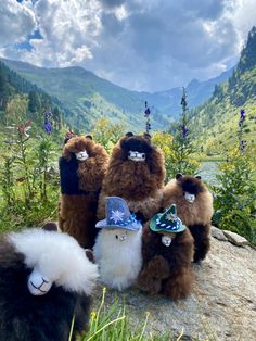 four stuffed animals sitting on top of a rock in the grass and mountains behind them