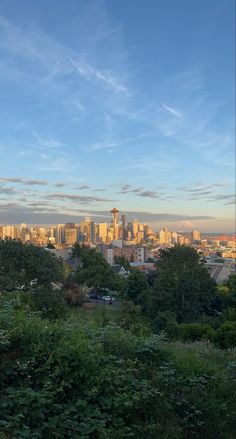 the city is in the distance and it's skyline can be seen through the trees