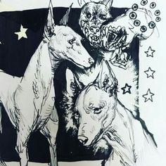 an ink drawing of two dogs with their heads turned to look like they are attacking each other