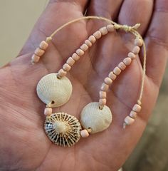 two seashells are being held in the palm of someone's hand