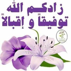 a purple flower with arabic writing on the front and back cover, in an english language