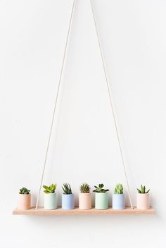 five potted plants are hanging on the wall with string attached to them, along with one another