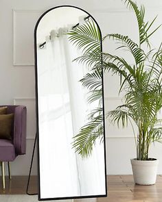 a large mirror sitting on top of a wooden floor next to a potted plant