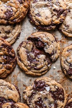 chocolate chip cookies are arranged on a baking sheet