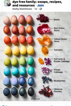 an image of different colored eggs and their names on the side of a tweet