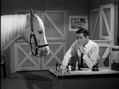 a man sitting at a table with a horse in front of him and chess pieces on the table