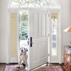 a dog sitting in front of a white door with an arched glass window above it