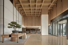 an empty lobby with wood paneling and glass doors on both sides, along with a bonsai tree in the center