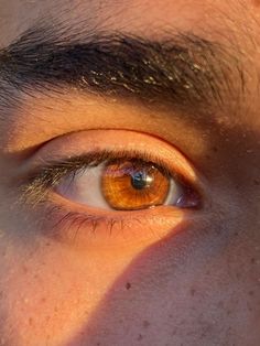 Brown Eye Guy, Amber Eyes Aesthetic Male, Amber Eyes Men, Light Brown Eyes Men, Orange Eyes Aesthetic, Honey Eyes Aesthetic, Light Brown Eyes Aesthetic, Dark Amber Eyes, Brown Eyes Guy