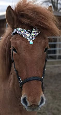 a brown horse wearing a jeweled bridle on top of it's head