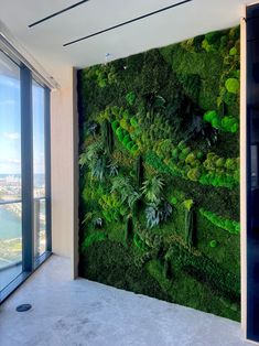 a living wall with plants growing on it