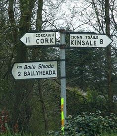 two street signs on a pole in the woods