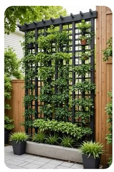 #exteriorcolors #housepainting #curbappeal #homeimprovement #colorinspiration #homedesign #outdoorliving #neighborhoodstyle #residentialarchitecture #exteriorrenovation Black Trellis Ideas, Outdoor Design Modern, Trellis Ideas For Privacy, Vertical Trellis, Modern Trellis, Outdoor Trellis, Trellis Ideas, Back Garden Design