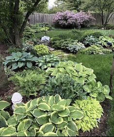 a garden filled with lots of green plants