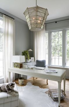 a white desk sitting in front of two windows next to a dog laying on the floor