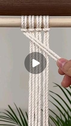 a hand holding a rope with the end of it in front of a potted plant