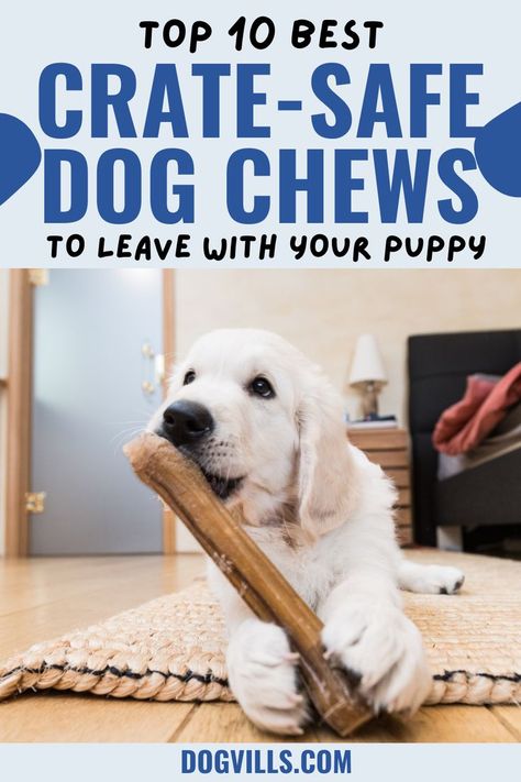 Looking for the best crate-safe chews to leave with your puppy? Read on to find out our top ten picks, plus vital safety tips to consider. Best Chew Toys For Puppies, Diy Long Lasting Dog Chews, Puppy Chewing Tips Training, Diy Dog Chews, Best Puppy Toys, Chew Toys For Puppies, Chew Toys For Dogs, Dog Training At Home, Puppy Tips