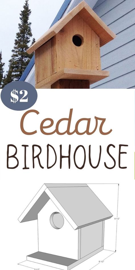 Fence Picket Birdhouse, Unique Bird Houses Diy Birdhouse Designs, Birdhouse Dimensions, Diy Birdhouse Plans, Diy Bird House, Birdhouse Plans, Bird House Plans Free, Diy Birdhouse, Birdhouse Projects