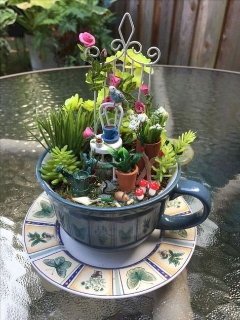 Indoor Fairy Garden Ideas, Fairy Garden Design Ideas, Gardening Room, Fairy Teacup, Indoor Fairy Garden, Gardening Party, Indoor Fairy Gardens, Teacup Gardens, Teacup Crafts