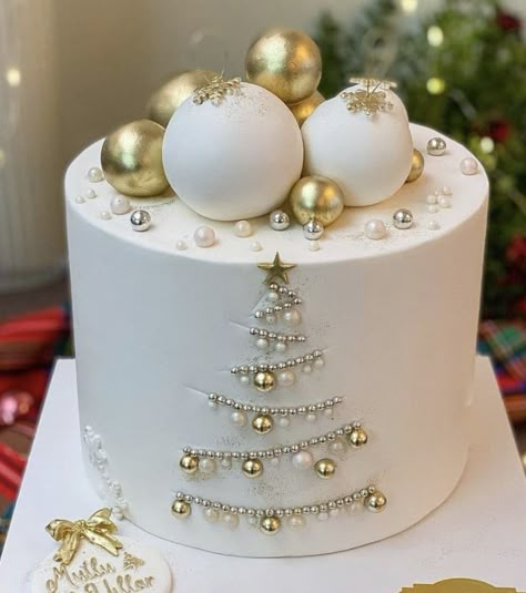 New Years Birthday Cake, December Birthday Cake, Cake New Year, Winter Torte, Tårta Design, Easy Christmas Cake Recipe, Christmas Themed Cake, Christmas Cake Designs, Elegant Birthday Cakes