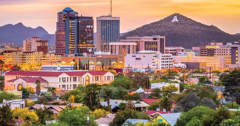 Planting a Million Trees in the Semi-Arid Desert to Combat Climate Change Downtown Tucson, Sonora Desert, Arizona City, The University Of Arizona, Sonoran Desert, Arizona Usa, Tucson Arizona, Tucson Az, Great Smoky Mountains