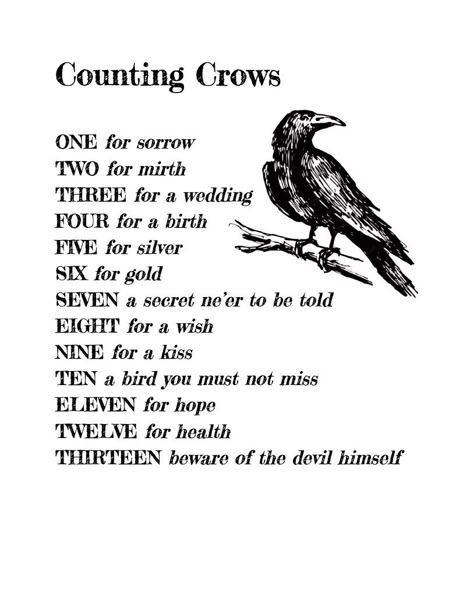 One For Sorrow, Counting Crows, Witch Spirituality, A Crow, Witch Spell Book, Writing Inspiration Prompts, Crows Ravens, Witch Stuff, Spells Witchcraft