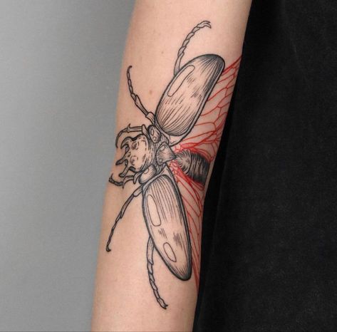 When your arm is extended out you see the inside part of the wings and body, when your arm is closed or folded, it only shows the outer shell. Absolutely amazing & beautiful! Folding Beetle Tattoo, Moth Inner Elbow Tattoo, Folding Tattoo Knee, Folding Moth Tattoo, Knee Fold Tattoo, Elbow Beetle Tattoo, Bug Arm Tattoo, Beetle Arm Tattoo, Moth Tattoo Inner Elbow