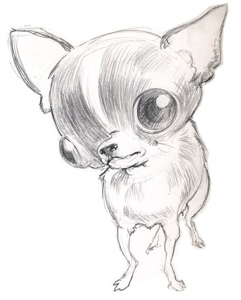 Miniature Pinscher Drawing, How To Draw Chihuahua, Chihuahua Drawing Cartoon, Chiwawa Drawings, Cute Chihuahua Drawing, Dog Drawing Chihuahua, Doberman Drawing Sketch, Chihuahua Doodle, Dog Drawing Funny