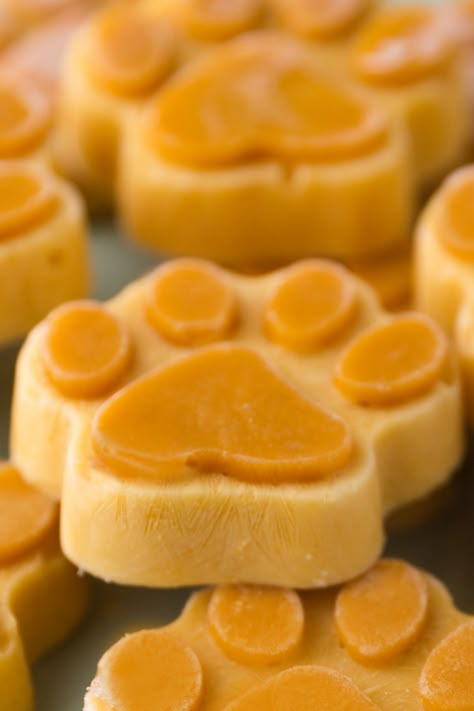 Pumpkin Yogurt Dog Treats Frozen, Pumpkin Puree Dog Treats Frozen, Puppy Treats Homemade Pumpkin, Pup Treats Frozen, Frozen Dog Treats Homemade Pumpkin, Pumpkin And Yogurt Dog Treats, Pumpkin Frozen Dog Treats, Pumpkin Puppy Treats, Pumpkin Yogurt Dog Treats